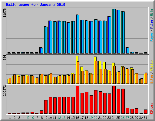 Daily usage for January 2019