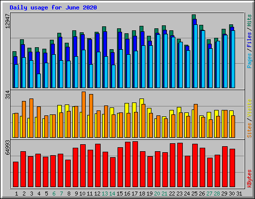 Daily usage for June 2020