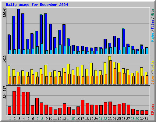 Daily usage for December 2024