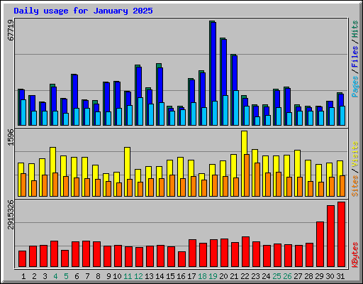 Daily usage for January 2025