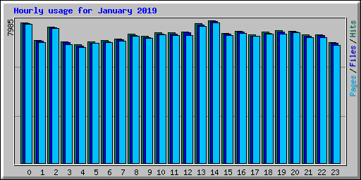 Hourly usage for January 2019