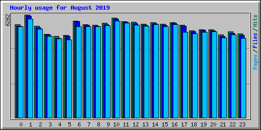 Hourly usage for August 2019