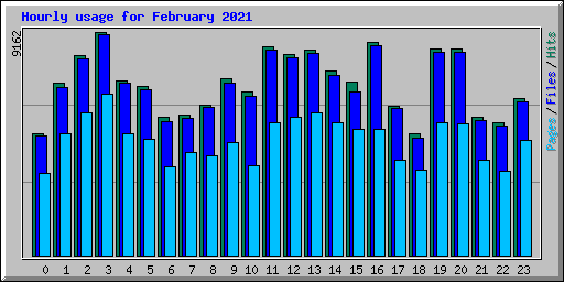 Hourly usage for February 2021