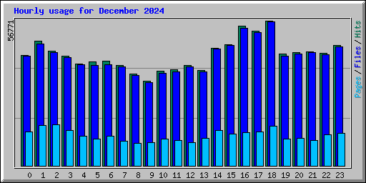 Hourly usage for December 2024