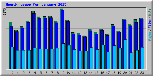 Hourly usage for January 2025