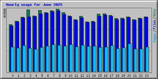 Hourly usage for June 2025