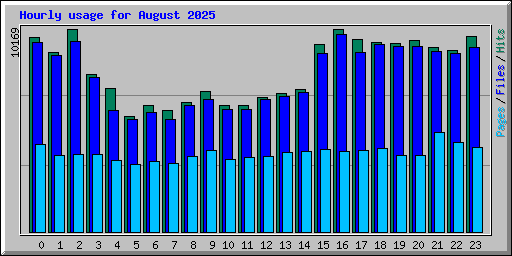 Hourly usage for August 2025