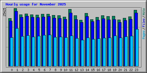 Hourly usage for November 2025