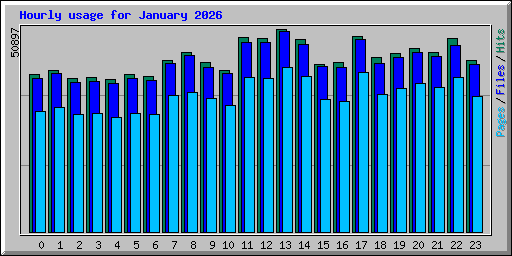 Hourly usage for January 2026